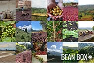 Thumbail for Honduras Angel BBs - Certified Fairtrade, Organic - #2