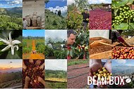 Thumbail for Decaf Flume Seasonal Blend - #2