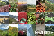 Thumbail for Sumatra Bebagi Kepada - #2