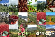 Thumbail for Colombia Condor EA Decaf - #2