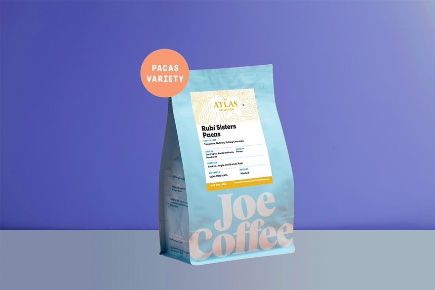 Rub Sisters Pacas by Joe Coffee Company - main image