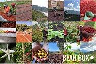 Thumbail for Decaf Ciudad de Flores Colombia - #3