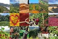 Thumbail for Brazil Coopfam - Certified Fairtrade - #2