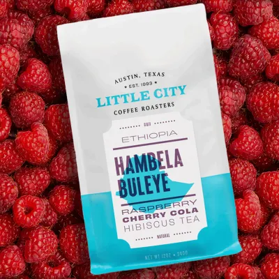 Ethiopia Hambela Buleye