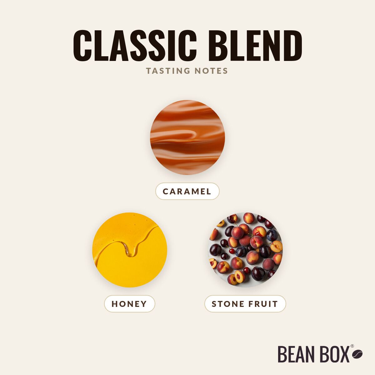 Kuma Coffee | Classic Blend | Bean Box®