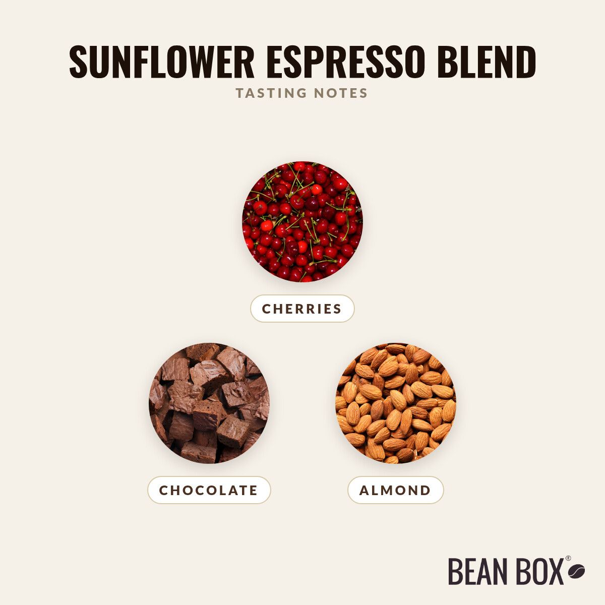 8th & Roast Coffee Co. | Sunflower Espresso Blend | Bean Box®