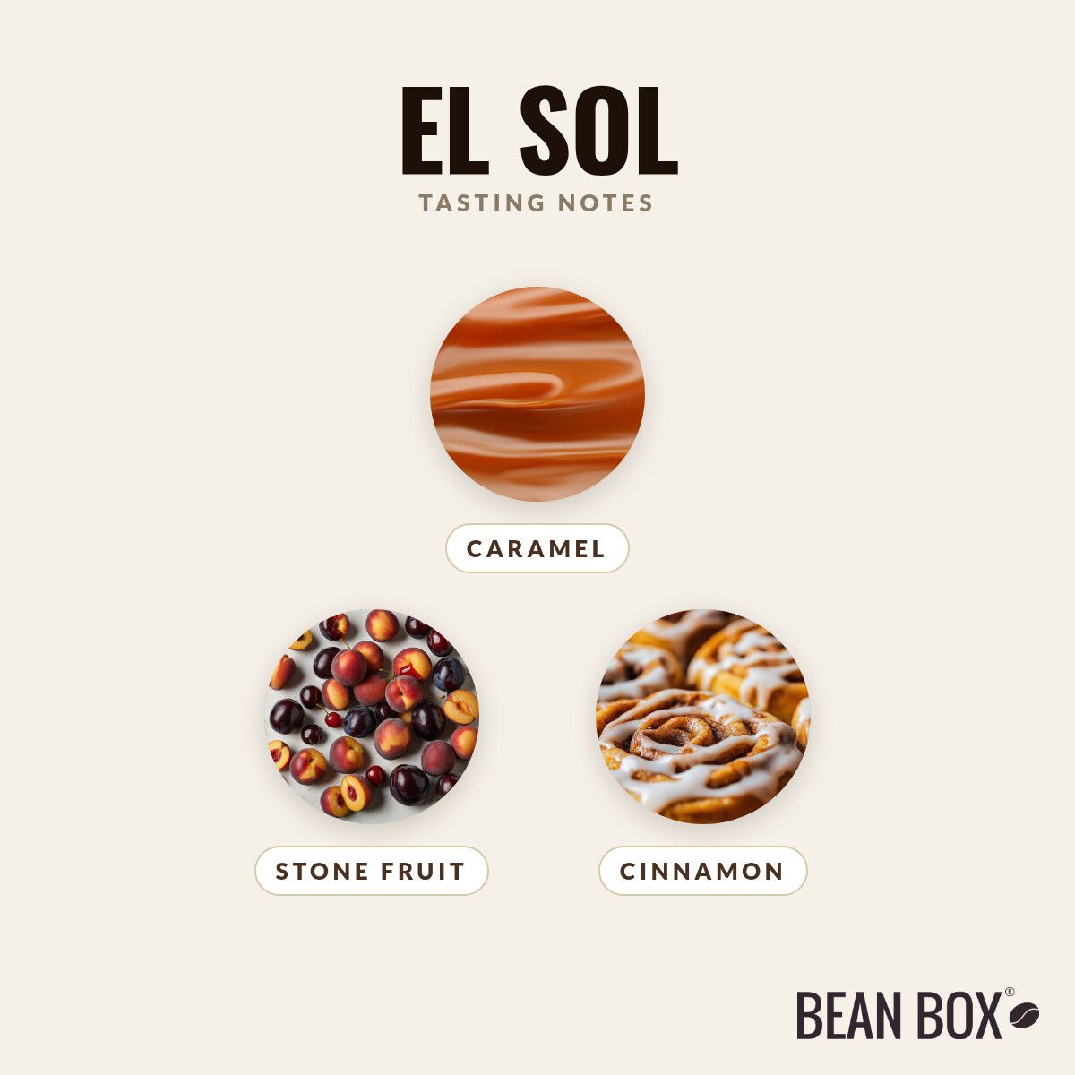 Devocion | El Sol | Bean Box®