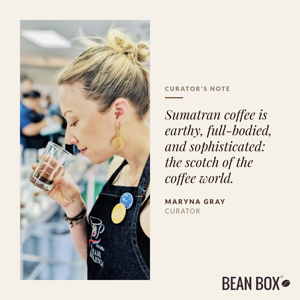Profyle RARE INDIE R&B レア お宝 Soul 甘茶 Airship Coffee | Sumatra Lake Toba Caldera | Bean Box®