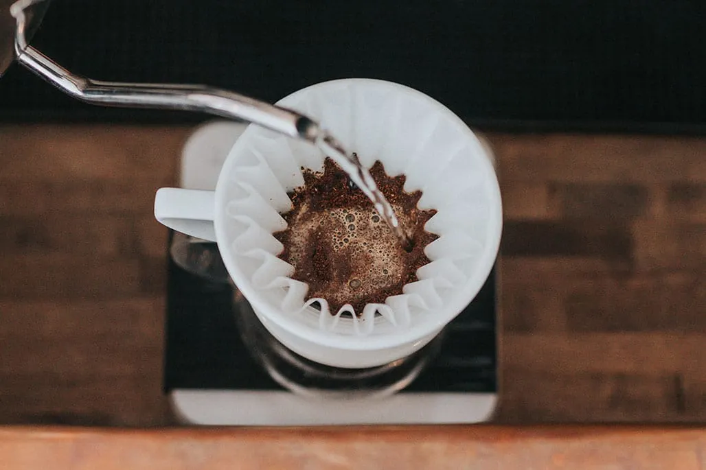 Coffee Bloom