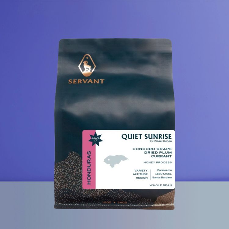 Quiet Sunrise by Servant Coffee - main image