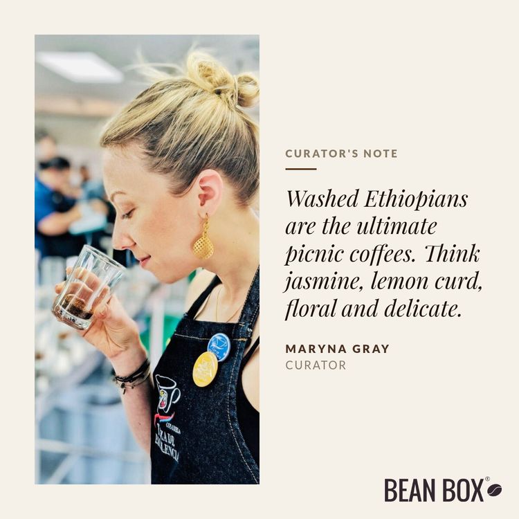 Ethiopia Wanja Kersa by Little Amps Coffee - main image