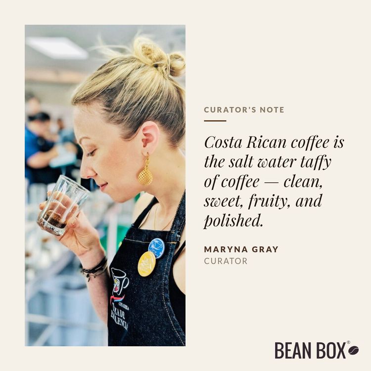 Costa Rica Coto Brus Rio Negro Estate by Coffee By Design - main image