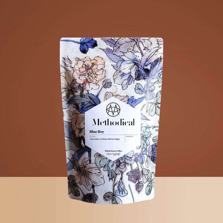 Blue Boy by Methodical Roasting - main image