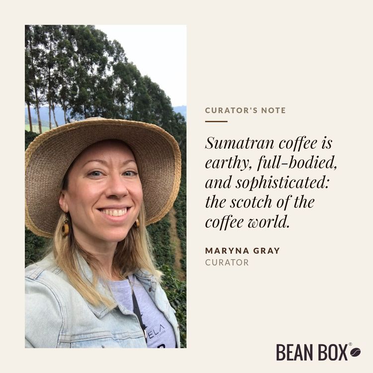Sumatra Gayo Highlands  Certified Fairtrade Organic by Gimme Coffee - main image