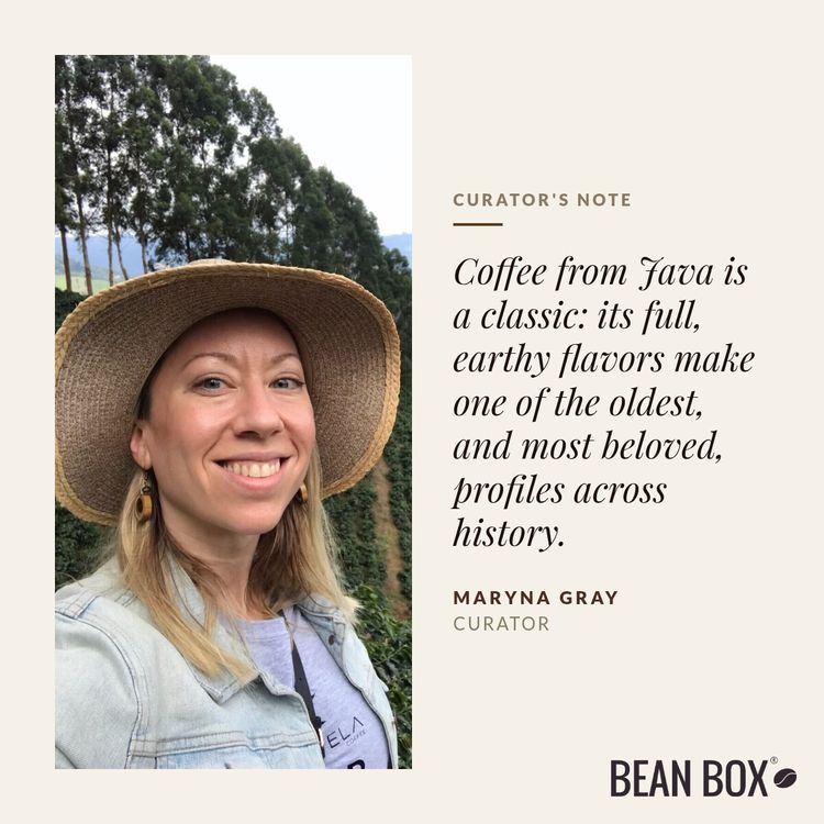Indonensia Java Papatong by Coava Coffee Roasters - main image