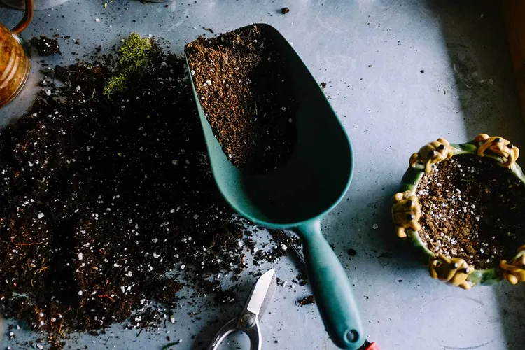 13 Best Uses for Old Coffee Grounds
