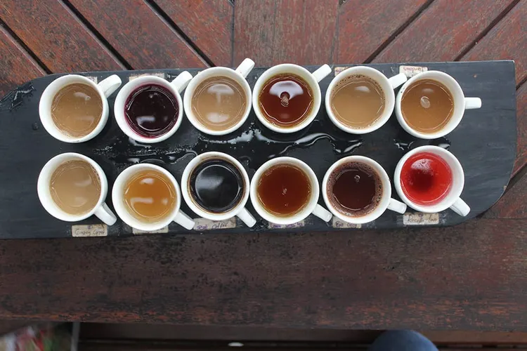 How to Host a Coffee Tasting Party