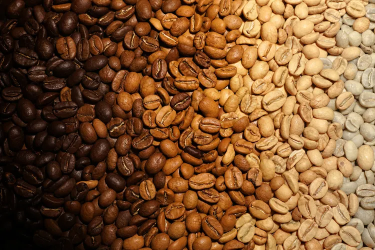 Light, Medium, Dark — Or None of the Above? Why Roast Levels Stopped Making Sense