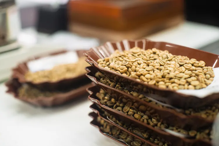 Anaerobic, Co-Fermented, Carbonic Maceration: Experimental Coffee Processing in Plain English