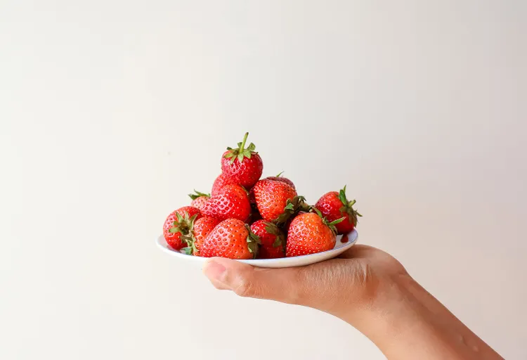 The Best Light Roast Coffee: Where the Fruit Lives (2026 Picks)