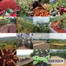 Thumbnail for Colombia Amigos del Huila - #1 (origin)