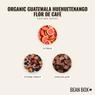 Thumbnail for Organic Guatemala Huehuetenango Flor De Cafe - #2 (tastes)