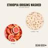 Thumbnail for Ethiopia Origins Washed - #2 (tastes)