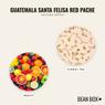Thumbnail for Guatemala Santa Felisa Red Pache - #2 (tastes)