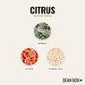 Thumbnail for Citrus - #2 (tastes)