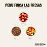 Thumbnail for Peru Finca Las Fresas - #2 (tastes)