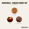 Thumbnail for Guatemala - Pablo's Family Lot - #2 (tastes)