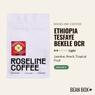 Thumbnail for Ethiopia Tesfaye Bekele OCR - #1 (tombstone)