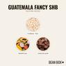Thumbnail for Guatemala Fancy SHB - #2 (tastes)