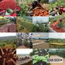Thumbnail for Ethiopia Wuri Yirgacheffe - #4 (origin)