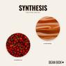 Thumbnail for Synthesis - #2 (tastes)