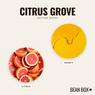 Thumbnail for Citrus Grove - #2 (tastes)
