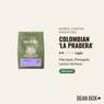 Thumbnail for Colombian 'La Pradera' - #1 (tombstone)