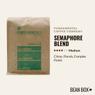 Thumbnail for Semaphore Blend - #1 (tombstone)