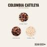 Thumbnail for Colombia Cattleya - #2 (tastes)