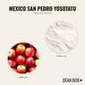 Thumbnail for Mexico San Pedro Yosotatu - #2 (tastes)