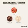 Thumbnail for Guatemala Finca Florencia - #2 (tastes)