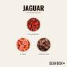 Thumbnail for Jaguar - #2 (tastes)