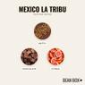 Thumbnail for Mexico La Tribu - #2 (tastes)