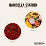Thumbnail for Hambella Station - #2 (tastes)