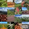 Thumbnail for A Thousand Hills - Rwanda - #3 (origin)