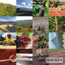 Thumbnail for Arismendi Ramos - Tarqui, Colombia - #1 (origin)