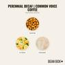 Thumbnail for Perennial Decaf | Common Voice Coffee - #2 (tastes)