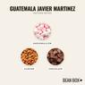 Thumbnail for Guatemala Javier Martinez - #2 (tastes)