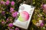 Thumbnail for Spring Equinox Blend - #0 (feature)