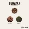 Thumbnail for Sumatra - #2 (tastes)